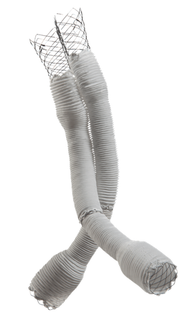 Abdominal Aort Hastalığı Altura TR 3 1